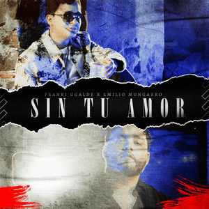 Sin tu amor