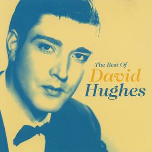 The Best Of David Hughes