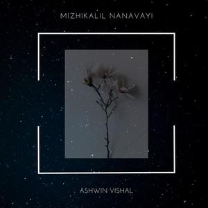 Mizhikalil Nanavayi