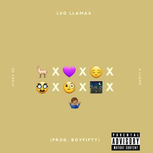 Story of A Llama (Explicit)