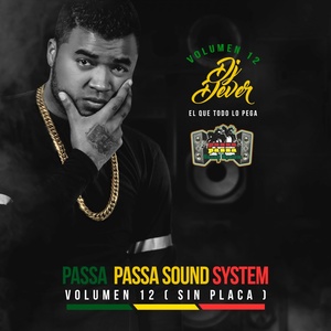 Passa Passa Sound System, Vol. 12: Sin Placas (Compiled by DJ Dever)