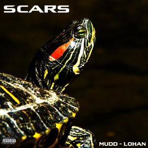 Scars (feat. Divine Lohan) [Explicit]