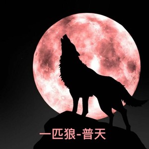一匹狼