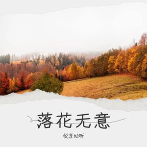 落花无意