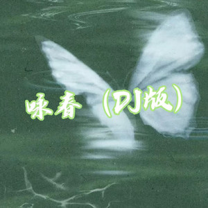 咏春(DJ放开手让寒冷胆怯)-DJ困呼呼