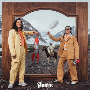 Plumas - Dichato