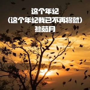 这个年纪 (这个年纪我已不再将就)