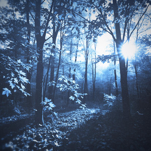 missing our days (slowed version)