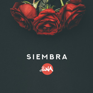 Siembra