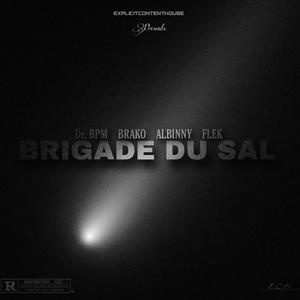 BRIGADE DU SAL (feat. Brako932 & Flek) [Explicit]