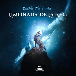 Limonada de la kfc (feat. Catalin & Andrei Aciobăniței)