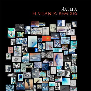 Flatlands Remixes