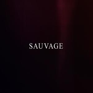 SAUVAGE (Explicit)