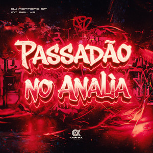 Passadão no Analia (Explicit)