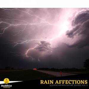 Rain Affections - Sleeping Aid Rain Nature Sounds, Vol. 2