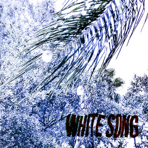 White Song