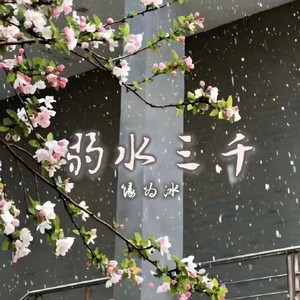 弱水三千 (0.8XDJ版)封面