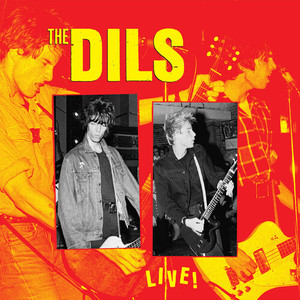 Dils - It's Not Worth It