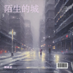 陌生的城DJ (Remix)