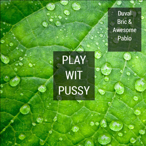 Play Wit Pussy