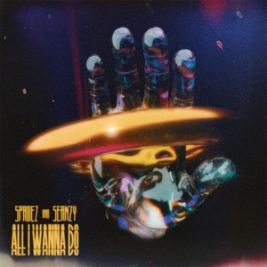 All I Wanna Do (feat. Seanzy)