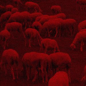 BİNA (LAR) (feat. Rinxlaya) (Explicit)