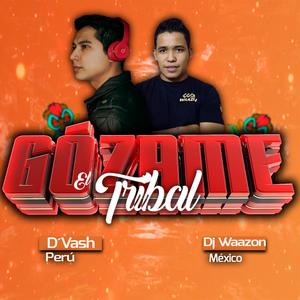 Gózame el tribal(feat. Dj Waazon)