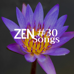 #30 Zen Songs - a Collection of Relaxing Music and Nature Sounds (Sea Waves, Water Sounds, Rain, Forest Sounds, Wind) , White Noise, Piano Music and Buddhist Music