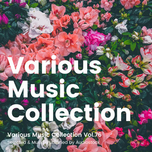 Various Music Collection Vol.76 -Selected & Music-Published by Audiostock-