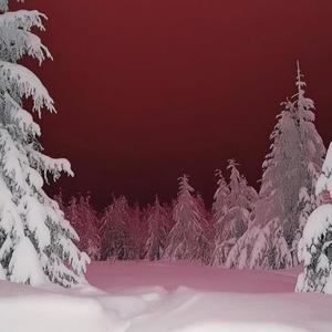 POPSTAR HO (feat. BabyBartier) (Explicit)