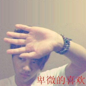卑微的喜欢