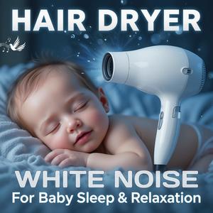 Hair Dryer White Noise (Instrumental)