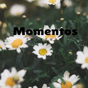 Momentos