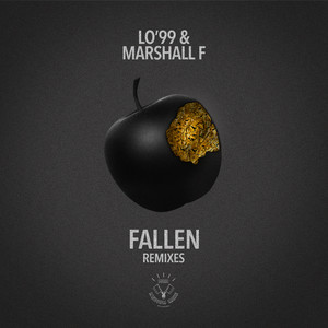 Fallen (Tom Evans Dub)