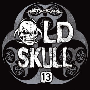 Old Skull 13