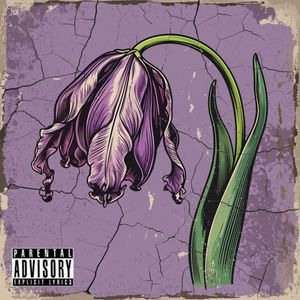 4 июня (Explicit)