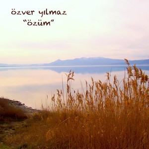 Özüm