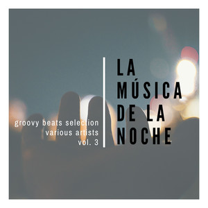 La Musica De La Noche (Groovy Beats  Selection), Vol. 3