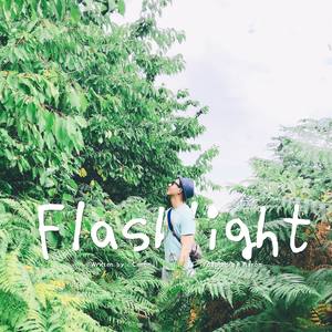 flashlight