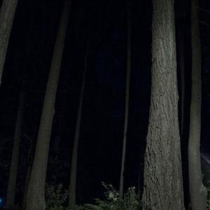 Can't Feel (Explicit)