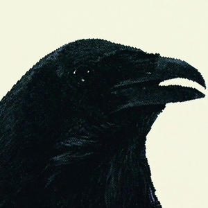 nobody knows (feat. Summrs Vault) (Explicit)