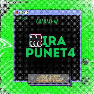 Mira Puñet4