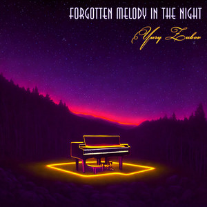 Forgotten Melody in the Night