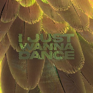 I Just Wanna Dance