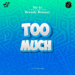 Too Much (feat. Brandy Bramer)