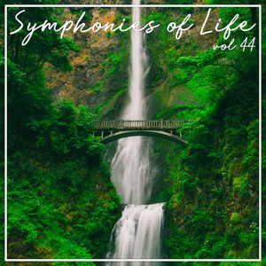 Symphonies of Life, Vol. 44 - Brahms: 41 Lieder