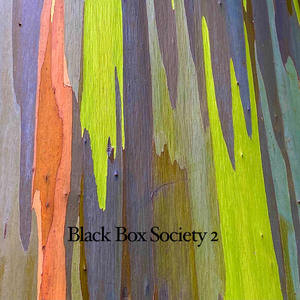 Black Box Society 2