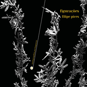 Figurações V (1984)