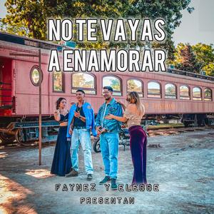NO TE VAYAS A ENAMORAR