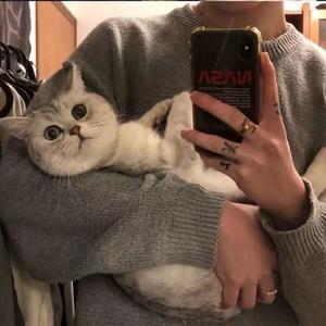 青海湖面起了风浪